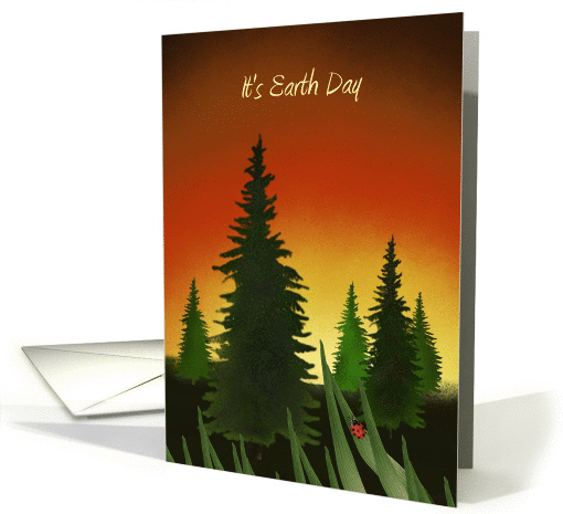 It's Earth Day with Pine Trees, sunset, ladybug, grass. card (1416484)