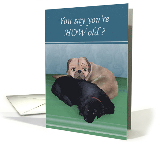You're HOW old?? Birthday with Pug and Black Cocker Spaniel card