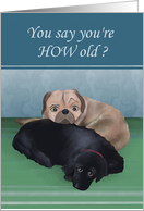 You’re HOW old?? Birthday with Pug and Black Cocker Spaniel card