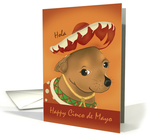 Hola, Happy 1st Cinco de Mayo with Chihuahua in Hat, Poncho card