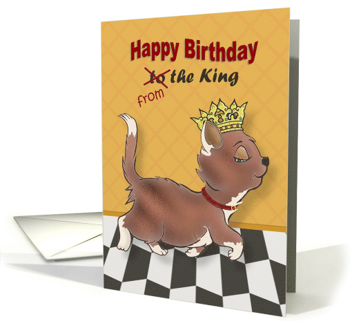 Happy Birthday to (from) the King with Sassy Cat Wearing... (1473778)