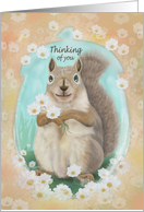 Thinking of you with squirrel holding daisies encased by acorn border card