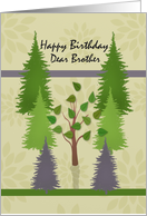 Happy Birthday Dear Brother with lone deciduous tree among pine trees card