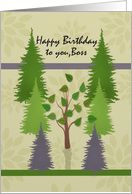 Happy Birthday to you Boss with lone deciduous tree among pine trees card