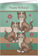 Happy birthday for triplets tuning 16 with three identical cats card