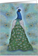 Blank Peacock Bird and Feathers card