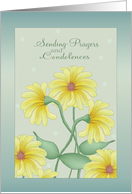 Condolences and Prayers with Yellow Daisies card