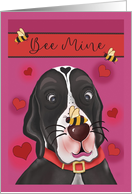 Bee Mine Pun Valentine’s Day Dog with Bee on Nose card