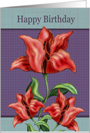 Happy Birthday Red Striped Flowers Checked Background card
