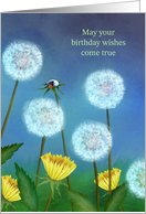 May Your Birthday Wishes Come True Dandelions Ladybug card