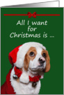 All I Want For Christmas Is You!! card