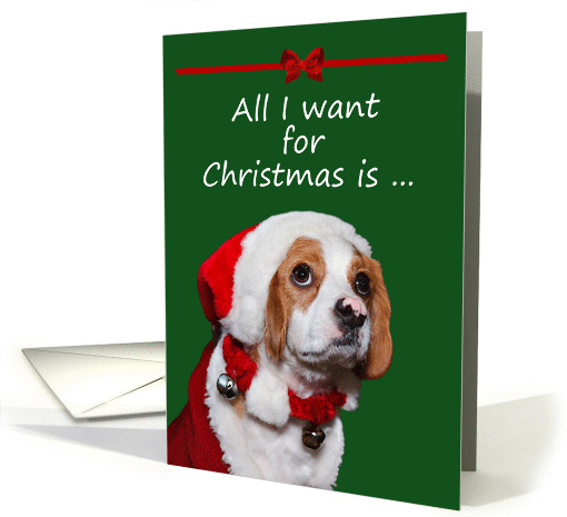 All I Want For Christmas Is You!! card (1333164)