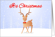 Cute Reindeer in snow, hazy background,Christmas card for everyone card