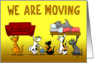 Moving Cats New Address Announcement card