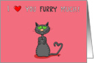 I heart You Furry Much With Grey Tabby Valentine’s Day card