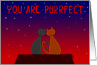 You Are Purrfect Valentine’s Day card