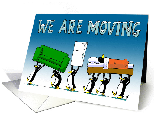 Moving Penguins New Address Announcement card (1346958)