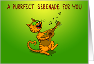 A Purrfect Serenade For You Valentine’s Day card
