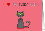 I heart You Furry Much With Grey Tabby Valentine’s Day card