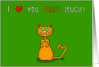 I heart You Furry Much With Orange Tabby Valentine’s Day card