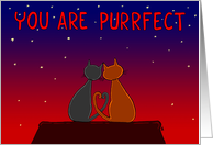 You Are Purrfect Valentine’s Day card