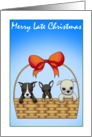 Belated Merry Christmas card