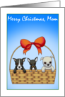 Merry Christmas Mom card