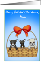 Merry Belated Christmas Mom card