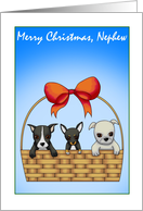 Merry Christmas Nephew card