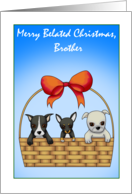 Merry Belated Christmas Bother card
