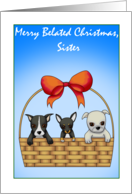 Merry Belated Christmas Sister card