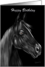 Black Stallion Birthday Wishes for Horse Lover card