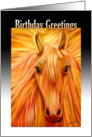 Golden Stallion Birthday Wishes for Horse Lover card