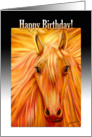 Golden Stallion Birthday Greetings for Horse Lovers card