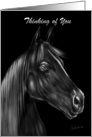 Thinking of You Black Stallion Digital Painting in Black and White card