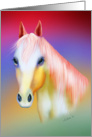 A beautiful horse, Rainbow coloured horse, Horse of many colours card