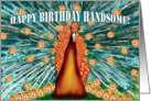 Birthday Wishes for Handsome Multicoloured Peacock card