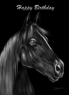 Black Stallion...