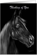 Thinking of You Black Stallion Digital Painting in Black and White card