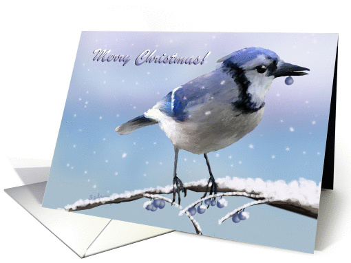 Christmas Blue Jay - Snow Branch Blueberries card (1347380)