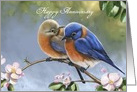 Bluebirds couple card