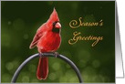 Season’s Greetings - Red Cardinal sitting on a Metal Ring in Garden card