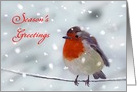 Season’s Greetings - Robin Sitting on Wire, Snow is Falling card