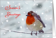 Season’s Greetings - Robin Sitting on Wire, Snow is Falling card