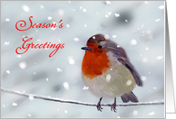 Season's Greetings -...