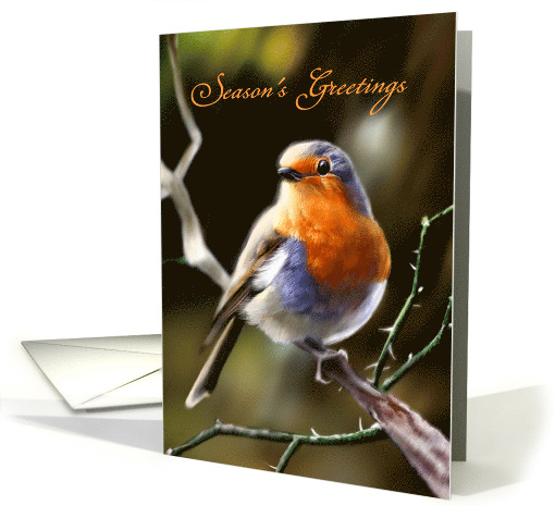 Season's Greetings - Little Robin enjoying a Sunny Spot... (1347548)