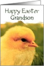 Grandson Happy Easter - Cute Yellow Easter Chick card
