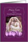 Granddaughter and Family - Happy Easter - Lop-eared Rabbit card