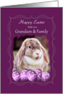 Grandson and Family - Happy Easter - Lop-eared Rabbit card