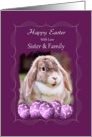 Sister and Family - Happy Easter - Lop-eared Rabbit card